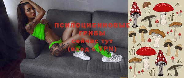 PSILOCYBIN Балахна