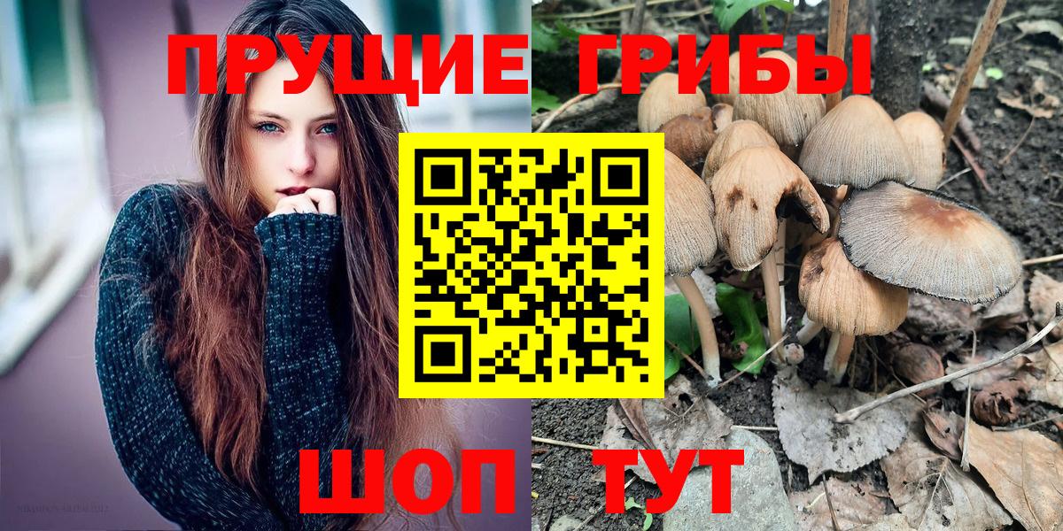 Маркс  Псилоцибиновые грибы Magic Shrooms  где купить наркоту  Вход с VPN  Галлюциногенные грибы GOLDEN TEACHER 